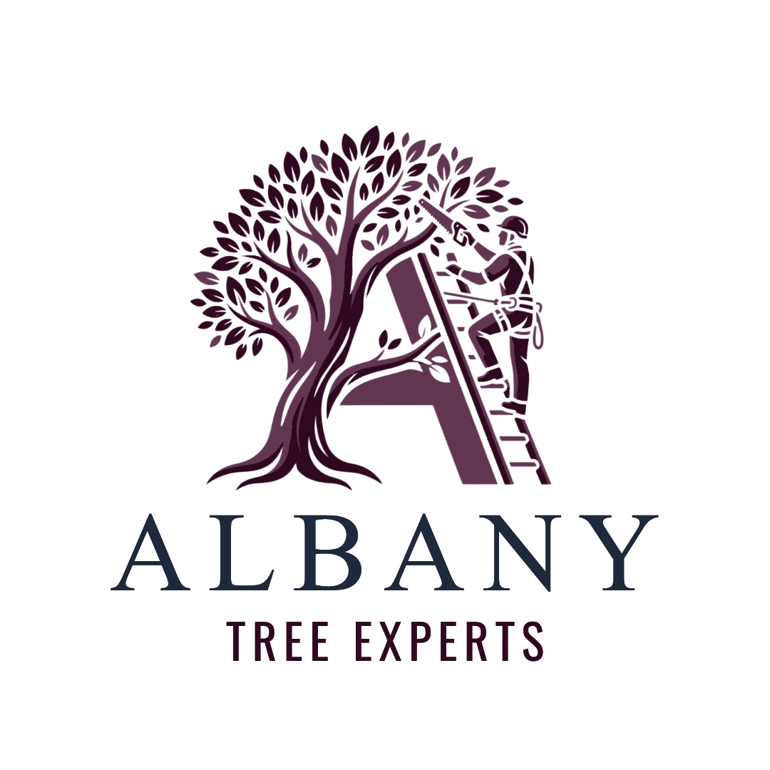 Albany Tree Experts Logo