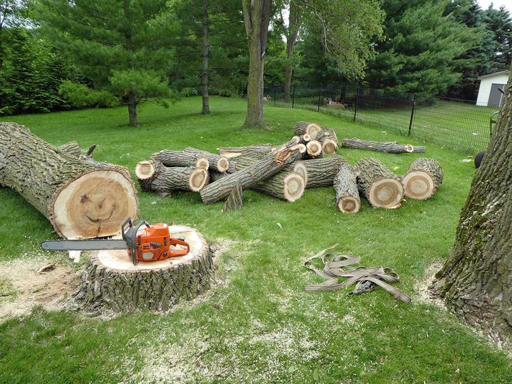 Center Square Tight-Quarter Elm Takedown