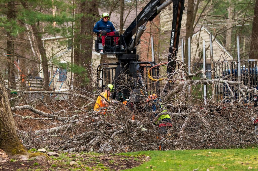 Colonie Storm Damage Clearing