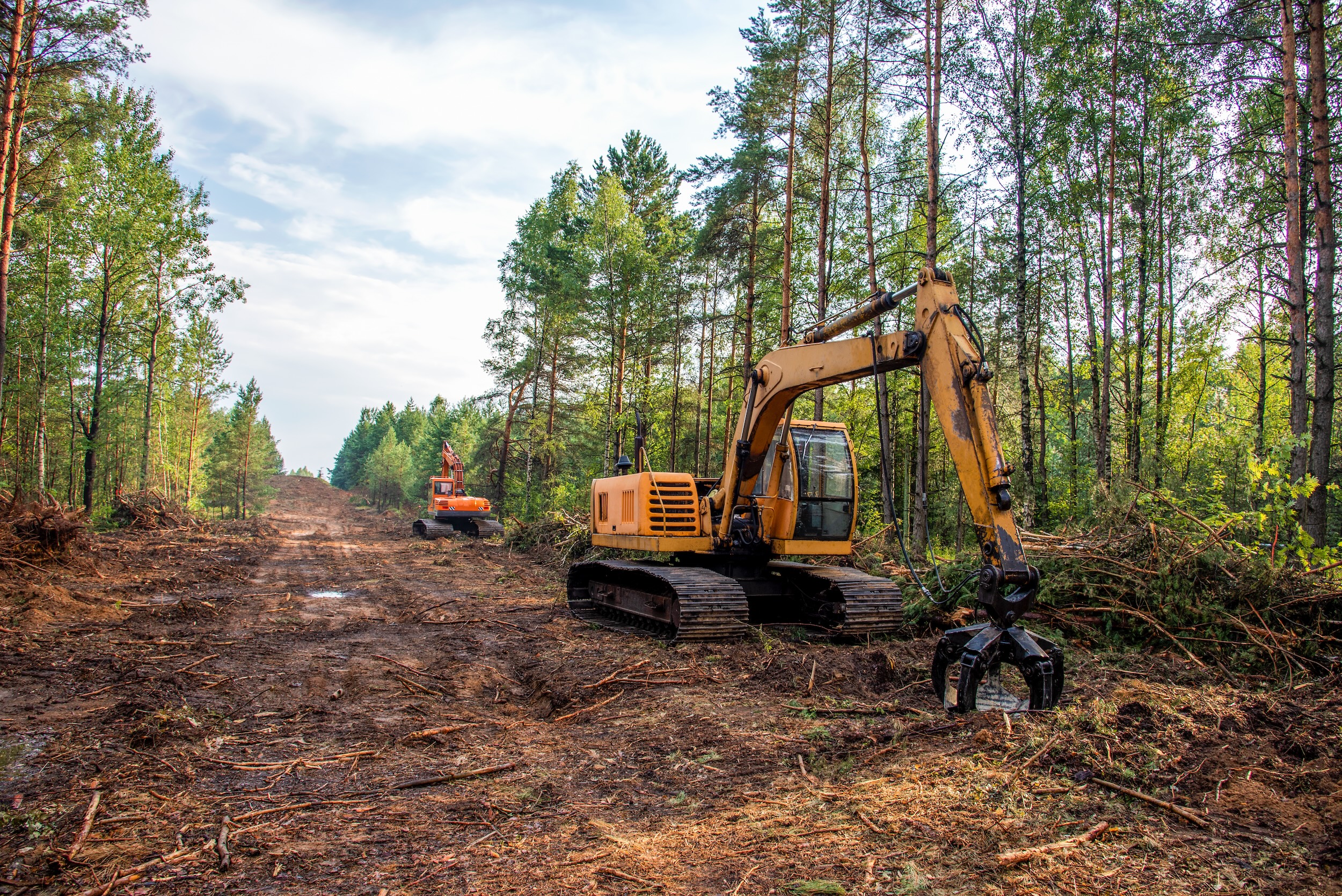 Delmar Land Clearing Residential Lot