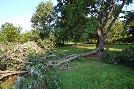 Structural Pruning